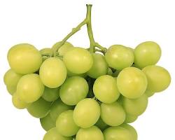 Hình ảnh về Autumn Crisp grapes