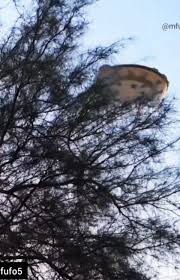 موجودات فرازمینی فضایی واقعی‎ (@mfufo5) • Instagram pH๏τos and videos