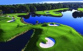 Image result for golf course