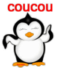 Résultat de recherche d'images pour "coucou"