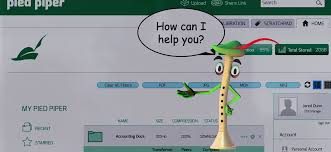 Image result for silicon valley pied piper