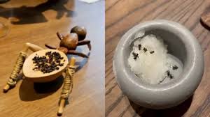 Michelin-starred chef faces jail for garnishing desserts with ants