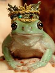 Resultado de imagem para principes e sapos fotos