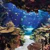 Story image for Best Pet Supplies Fish Supplies Aquarium Lighting For Sale from PetProductNews.com