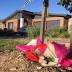 Canberra father accused of murdering 8yo Bradyn Dillon pleads not ...