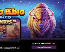 Gambar Slot Buffalo King Pragmatic Play