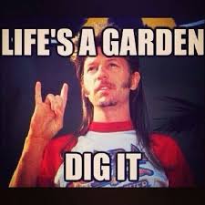 Love Joe Dirt! | Movies | Pinterest via Relatably.com