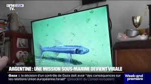 BFMTV - News update