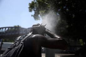 Europe recorded 10,000 excess deaths during late-June heatwave, data show