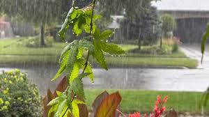 Niagara, Hamilton, Burlington, Brantford all had rainfall warnings for Sunday