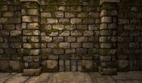 Image result for dungeon doors