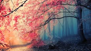 Tumblr Backgrounds,  Tumblr Arka Plan Resimleri, Tumblr Temalar�