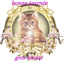 Résultat de recherche d'images pour "gif bonne soirée chat"