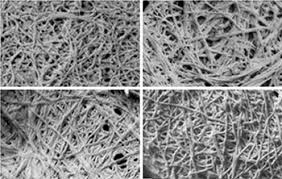 Image result for protein structure electron microscopy
