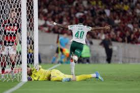 Opinião - Tostão: As histórias se repetem: Palmeiras e Flamengo na disputa do título