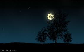 Image result for Beautiful Night Photography