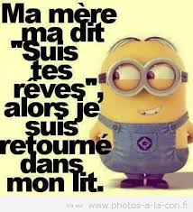 Résultat de recherche d'images pour "citation drole avec les minion"