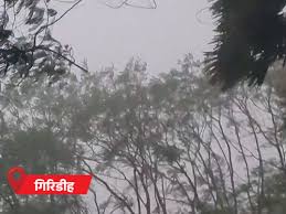 झारखंड के 7 जिलों में आज भारी बारिश की चेतावनी: मानसून ने अब तक 18 जिले कवर किए; आकाशीय बिजली से 6 की मौत, …