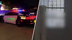 NBC 6 South Florida