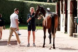BloodHorse - News update