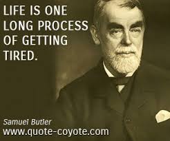 Samuel Butler quotes - Quote Coyote via Relatably.com