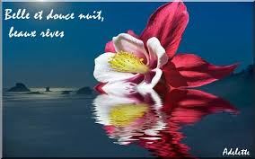 Résultats de recherche d'images pour « image doucenuit »