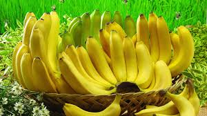 Image result for image of banana