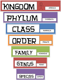 Image result for classification of living organism