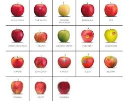 Varietà di mele biologiche