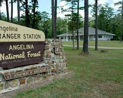 Image of Angelina National Forest, Texas