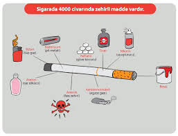 biz mi sigarayı içiyoruz sigara mı bizi ile ilgili görsel sonucu