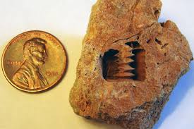 10 Modern Artifacts That Are More Than 100 Years Old – American Geography Portal