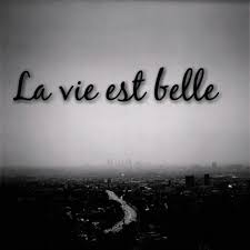 Beautiful Quotes In French. QuotesGram via Relatably.com