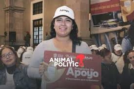 Animal Politico - News update