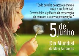 Resultado de imagem para dia mundial do meio ambiente