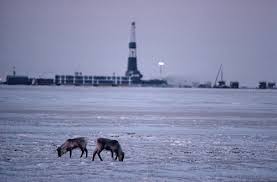 Image result for oil alaska