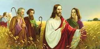 Image result for jesus and disciples