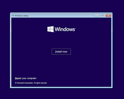 Image of Windows 10 setup install now screen