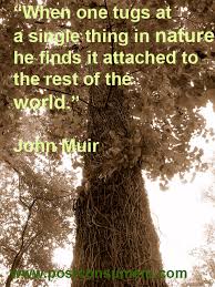 Our Favorite Nature Quotes: John Muir via Relatably.com