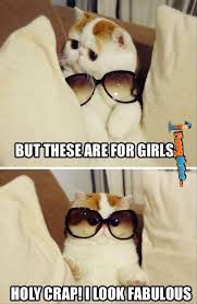 Image result for Animal Meme