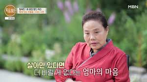 머니투데이