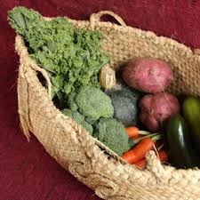 Image result for Maori harvest table