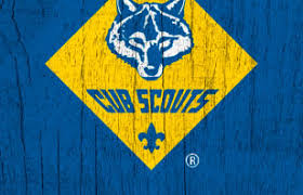 Image result for cub scout images