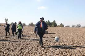 IOL - News update