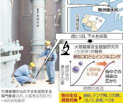 Yahoo!ニュース - News update