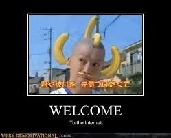 Image result for welcome to the internet meme