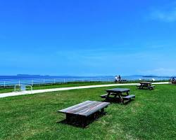 family having a picnic on the grass at Uminonakamichi Seaside Park, with a view of the ocean in the background.の画像