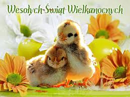 Znalezione obrazy dla zapytania obrazki swiat wielkanocnych- -gify ruchome