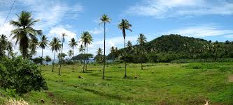 Image result for IMAGES OF THE DOMINICA