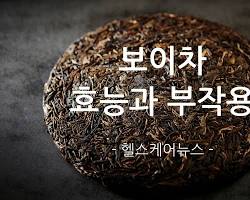 그리고 보이차 이미지